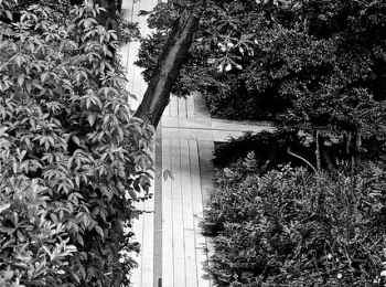 Pique-nique d&rsquo;été à Paris le 29 juillet 2012 (ouvert à tous)